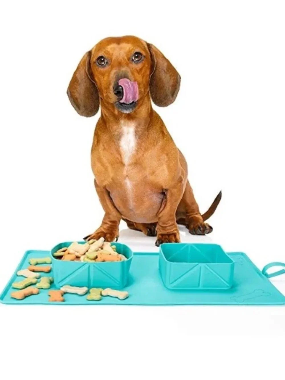 FRISCO Portable Travel Rollup Silicone Double Bowl and Mat Pet Feeder  **NEW**